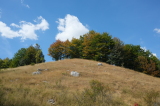 2026_09_04-14_01_21.jpg