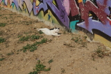 2026_09_05-09_24_14.jpg